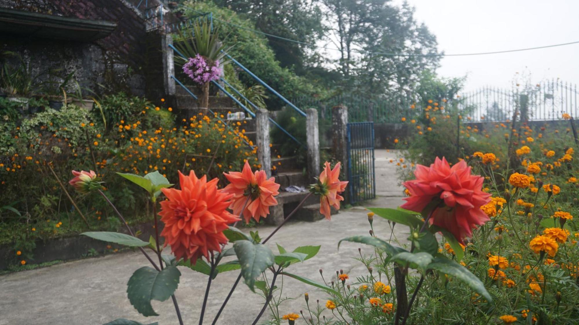 Tranquil Retreat Homestay Ghum Exterior foto